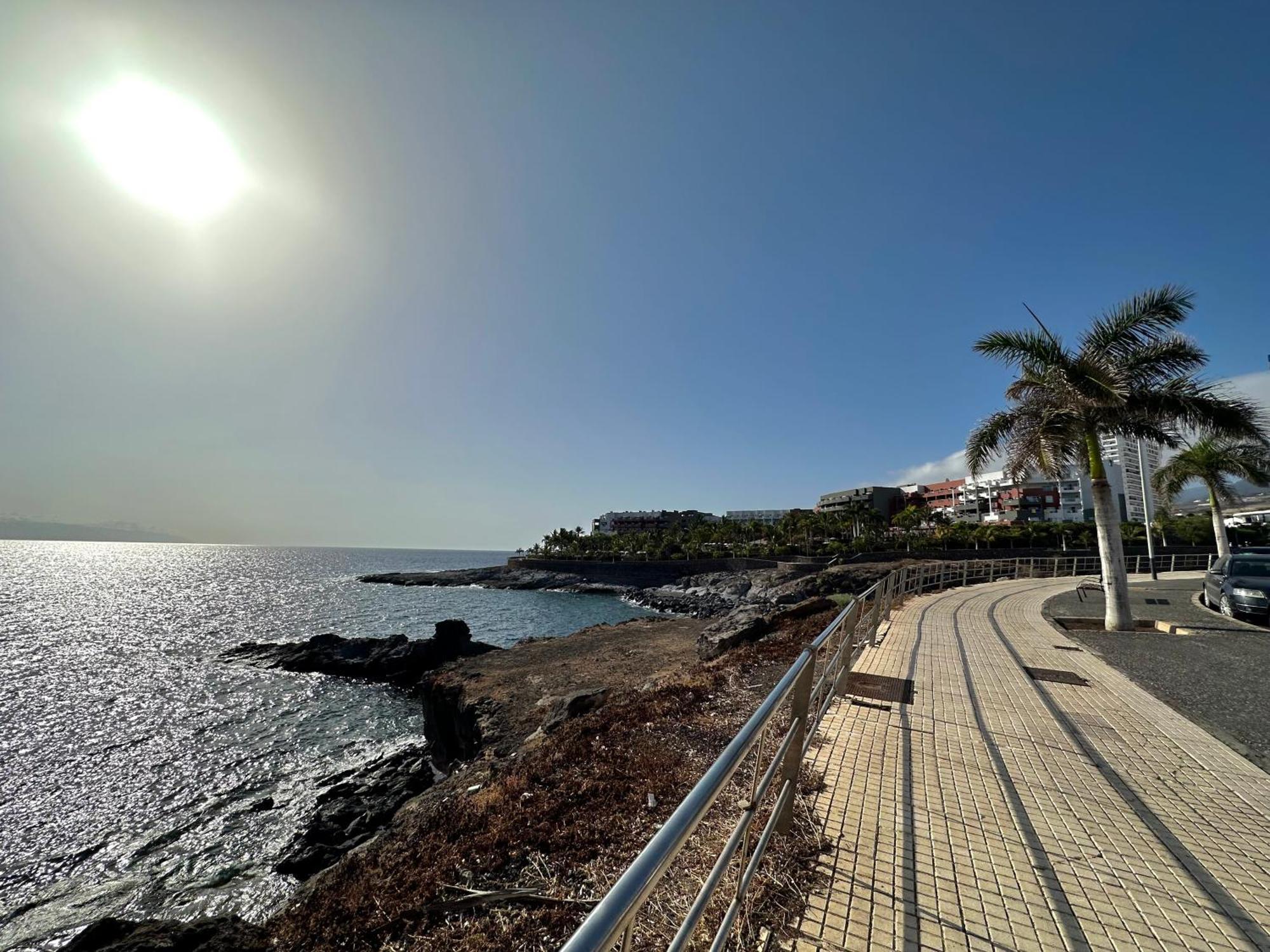 Agave 8 (adults Only) * Costa Adeje (Tenerife)